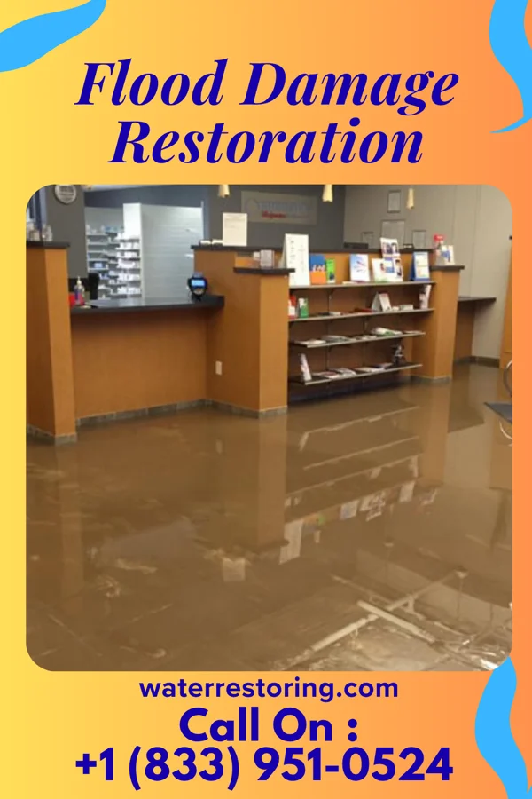Flood Damage Restoration in Arkwright, SC