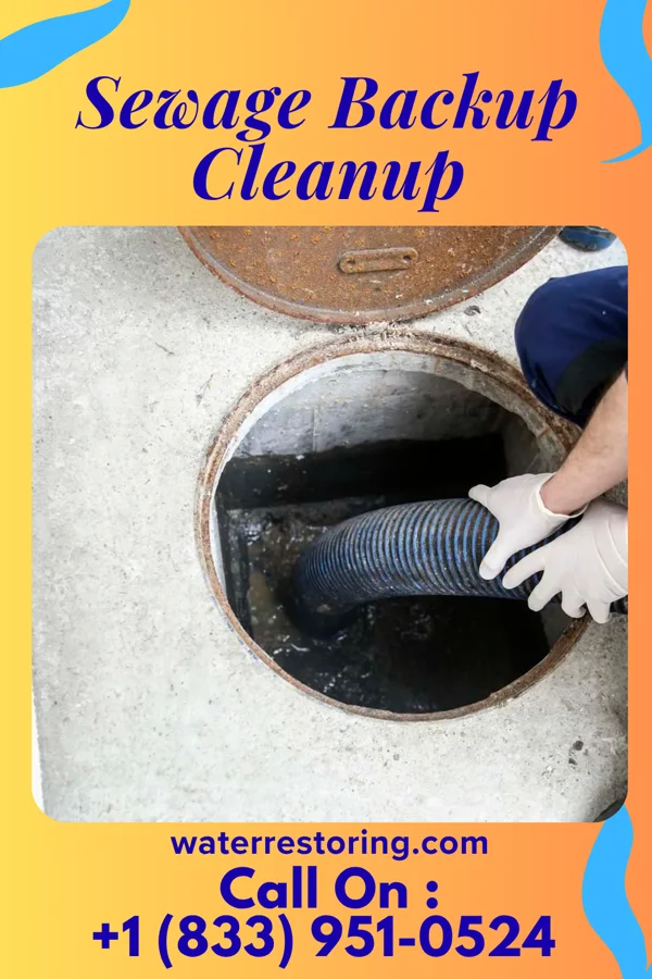 Sewage Backup Cleanup in Arkwright, SC